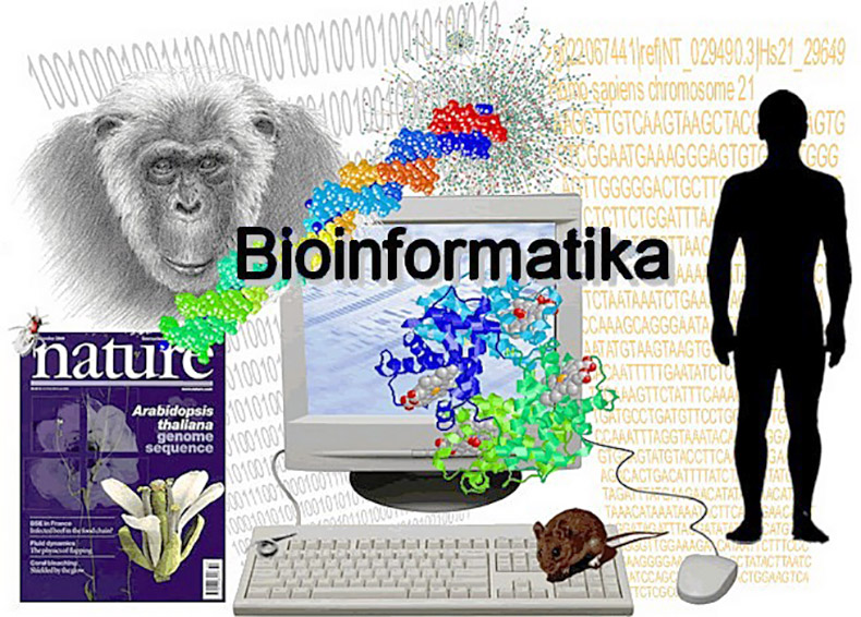 Молодая специальность, спрос на которую всё время растёт –«Биоинформатика»