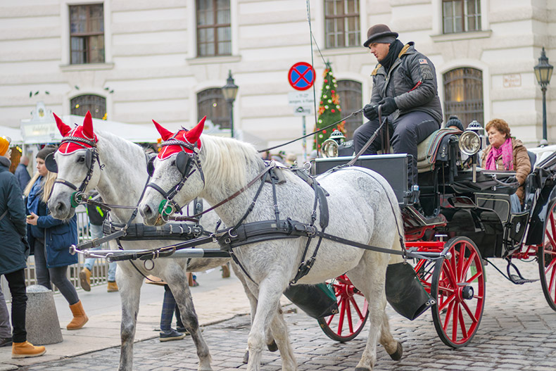 Венский адвент 2019